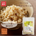 【送料無料|常温】【公式】石井食品 発芽玄米ごはん 30袋| 発芽 玄米 ごはん ビタミン ミネラル 豊富 国産 千葉県 いすみ市 便利 うるち玄米 レトルト ...