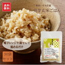 【送料無料】発芽玄米ごはん 30袋（常温品）｜ 発芽 玄米 ごはん ビタミン ミネラル 豊富 国産 千葉県 いすみ市 便利 うるち玄米 レト..