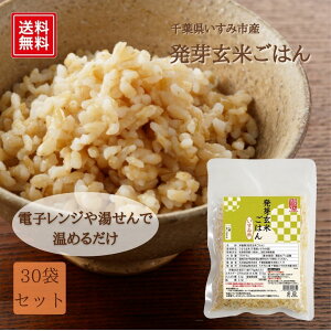 【送料無料】発芽玄米ごはん 30袋（常温品）｜ 発芽 玄米 ごはん ビタミン ミネラル 豊富 国産 千葉県 いすみ市 便利 うるち玄米 レトルト パック セット 玄米ご飯 米 レンジ レンチン ご飯 無添加調理 石井商品 イシイ食品