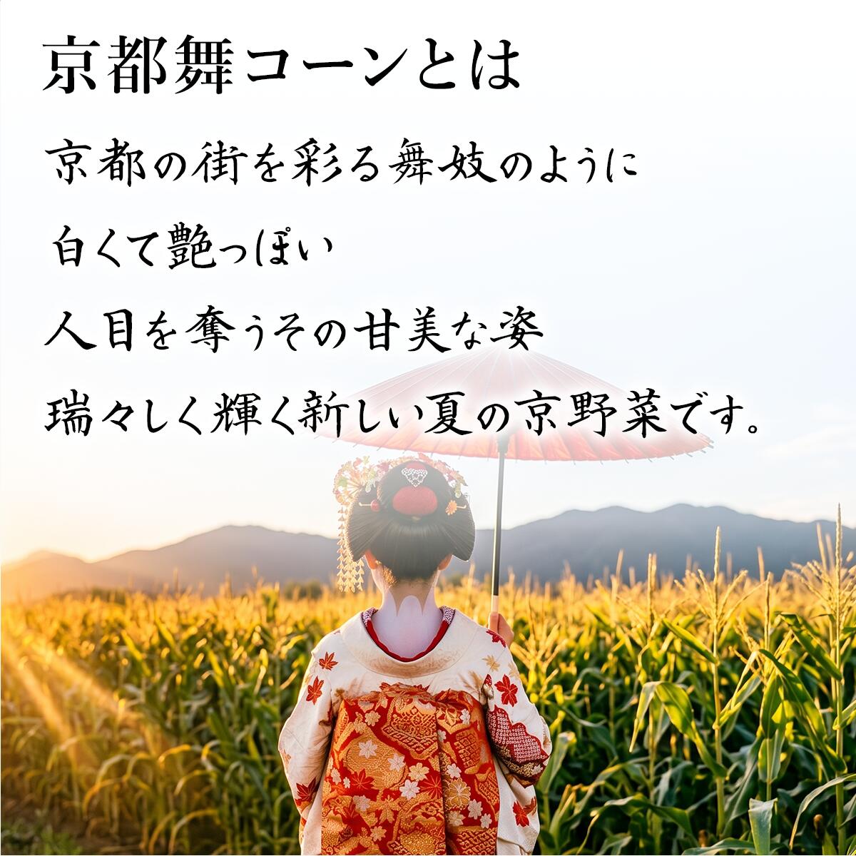 石井食品 公式 京都舞コーンスープ 5袋 | 常温 150g 冷製 温製 イシイ 満天☆青空レ...