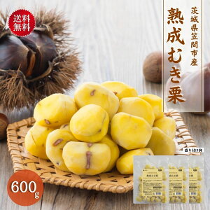 【栗600g/10月中旬からお届け/送料無料/同梱不可】茨城県笠間市産 熟成むき栗200g 3袋（冷凍品）｜ 国産 茨城県 笠間市 むき栗 和栗 生栗 熟成栗 マロン アレンジ スイーツ デザート 無添加調理 石井食品