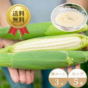 【7月8日お届け/産地直送/送料無料】【公式】石井食品 京都舞コーンとスープを味わうセット（コーン3本+スープ5袋/冷蔵品）｜ イシイ ホワイトコーン とうもろこし コーンスープ ギフト ロックファーム 朝採り お中元 無添加調理 石井食品