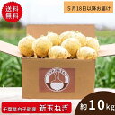 白子 【5月18日からお届け/送料無料】【公式】石井食品 白子町産 新玉ねぎ10kg（常温品）｜イシイ 千葉 旬の味 たまねぎ 玉葱 タマネギ 白子玉ねぎ 無添加調理 石井食品 イシイ食品