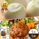 【販売終了】【5月11日からお届け/送料無料】【公式】石井食品 白子町の新玉ねぎ5玉とハンバーグ5袋 ...