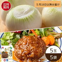 石井食品 白子町の新玉ねぎ5玉とハンバーグ5袋のセット（冷蔵品）｜イシイ 千葉 旬の味 冷蔵保存 惣菜 レトルト おかず たまねぎ 玉葱 白子玉ねぎ タマネギ 無添加調理 石井食品 イシイ食品