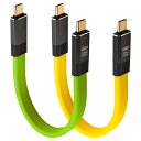 Leehitech 2×0.2M 100W USB C 短いケーブル 20Gbps 高速転送 USB-C to USB-C フラットケーブル8K@60HZ ビデオおよびデータ同期。i Phone 16/15 シリーズ、iPad、Macbook Air/Pro、Galaxy S24、Steam Deck、Xperiaなどに対応(2)
