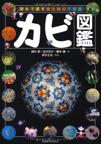 カビ図鑑: 野外で探す微生物の不思議