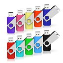 RAOYI USBメモリ8GB USB2.0 10個セット フラッシュドライブ 回転式 まとめ買い 10色 カラフル メモリスティック ストラップホール付き(2)