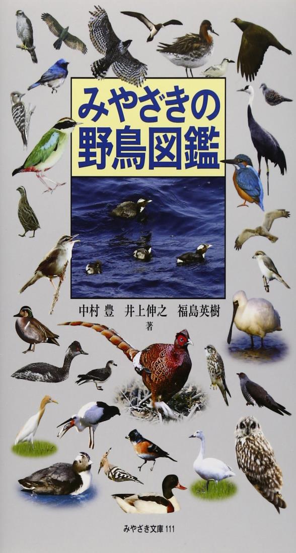 みやざきの野鳥図鑑 (みやざき文庫111)