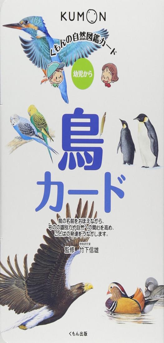 くもんの自然図鑑カード 鳥カード: 幼児から