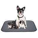 ペットシーツ 洗える 猫 犬用 おしっこパッド ペット用 トイレ下敷きマット 速乾 洗える 大判サイズ 多頭飼いに最適(グレーXL 二枚セット)