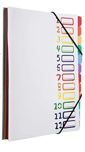 YIYI ドキュメントファイル A4フォルダー 12ポケット ファイルケース 自立型 書類 分類 収納ファイル ..