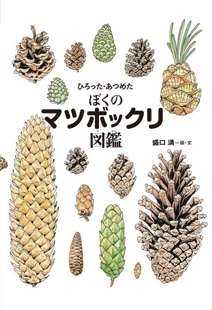 ちしきのぽけっと (24) ひろった・あつめた ぼくのマツボックリ図鑑