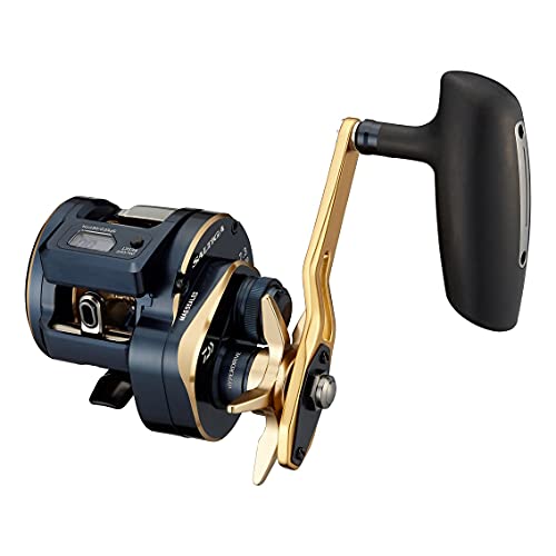 DAIWA - ダイワ(DAIWA) 21 ソルティガIC 300HL-SJ 送料無料