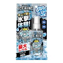 アイスノン 白元アース シャツミスト ICE KING 100mL 冷却スプレー 送料無料