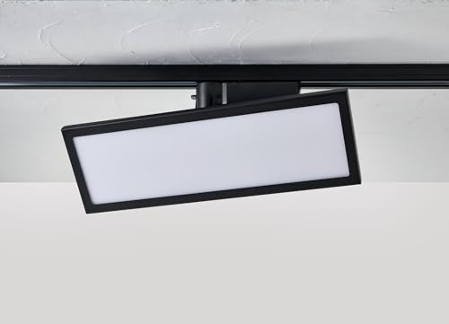 ブラック/並/LRS-FP30L(BK)・パッケージ個数:1・カラー:ブラック・定格電圧:AC100V 50/60Hz・定格消費電力:11W・明るさ:800lm・光源:電球色相当・別売りのライティングバーに簡単に取り付けることができます。 ・パネルライトのレイアウトを自由に動かすことができますので、インテリア照明やアクセント照明に最適です。 ・リビングを落ち着いた雰囲気に ・お部屋の間接照明に ・室内の空間演出に 定格電圧:AC100V 50/60Hz 定格消費電力:11W 明るさ:800lm 光源:電球色相当 質量:約650g 本体カラー:ブラック
