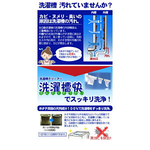 洗濯槽快分包タイプ30包入18756ホタテ貝除菌黒カビ洗濯機洗濯漕クリーナーせんたくそう洗剤お手入れ掃除洗浄脱臭除菌カビヌメリにおい悪臭天然成分簡単日本製送料無料ポスト投函