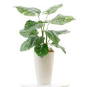 フェイクグリーン 光触媒 造花 人工 観葉植物 造花ドットコム 「ポトス 葉12枚 高さ60cm 幅50cm 奥行45cm」【白丸ポットとヤシの繊維付】 鉢は取り外し不可 インテリア 屋内 リビング オフィ(3)