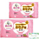 小林製薬 命の母 桐灰 じんわり温かい おなか用 カイロ10P×2セット ホッカイロ おまけつき(3)