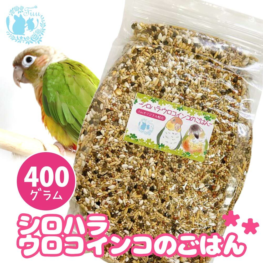 オリジナル配合 小鳥の餌 ＊fuu シロハラインコ・ウロコインコのごはん 400g＊ インコ 中型インコ 餌 主食 ペットフード