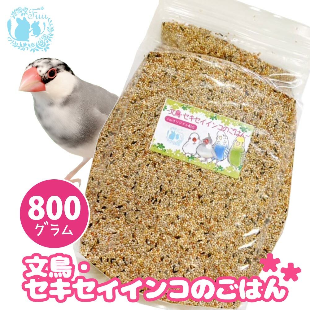 オリジナル配合 小鳥の餌 fuu 文鳥 セキセイインコのごはん 800g インコ フィンチ 文鳥 セキセイ 小型インコ 餌 主食 ペットフード