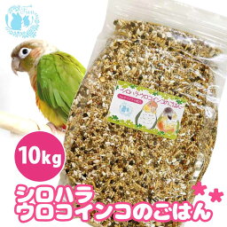 オリジナル配合 小鳥の餌 ＊fuu シロハラインコ・ウロコインコのごはん 10kg＊ インコ 中型インコ 餌 主食 ペットフード