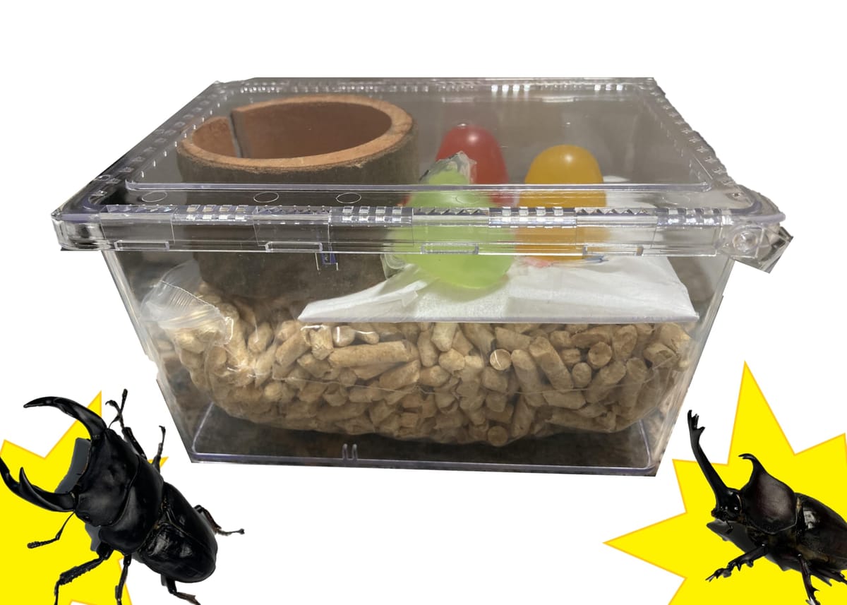 クワガタ・カブトムシ昆虫飼育セット 昆虫飼育キット クリアスライダー (Sサイズ) ...