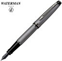 ウォーターマン 万年筆 ウォーターマン WATERMAN 万年筆 エキスパート メタリックシルバーRT 2119268 ギフト プレゼント 贈答品 記念品