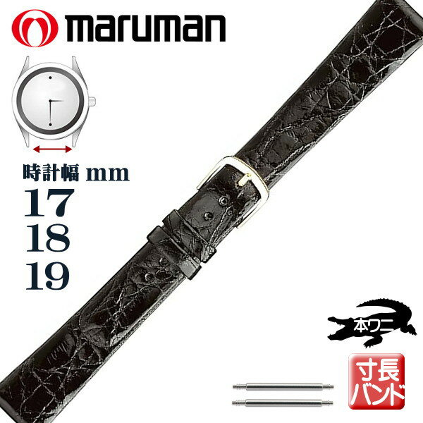 男性 - Lサイズ 寸長ベルト 時計ベルト 時計バンド 革バンド 本ワニサイド 時計際幅 17mm 18mm 19mm 黒 ブラック バネ棒2本付き ネコポス便対応品