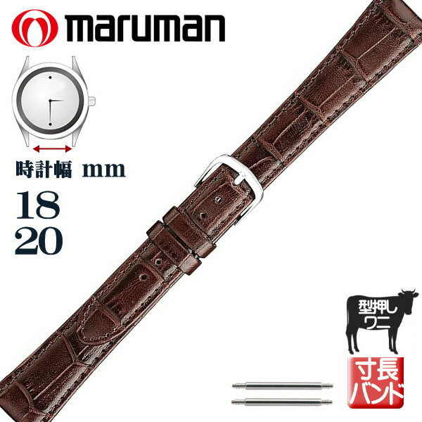 Lサイズ 寸長ベルト 時計ベルト 時計バンド 革バンド カーフ 型押しワニ 時計際幅 18mm 20mm 茶 ブラウン バネ棒2本付き ネコポス便対応品