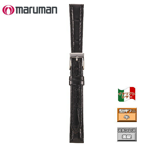 時計ベルト 時計バンド 革バンド 時計際幅 12mm 美錠幅 10mm 型押しワニ 黒 イタリアンレザー バネ棒2本付き ネコポス便対応品
