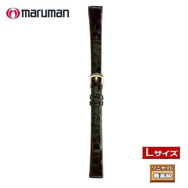 Lサイズ 寸長ベルト 時計ベルト 時計バンド 革バンド 本ワニサイド 時計際幅 14mm 美錠幅 10.5mm 黒 バネ棒2本付き …