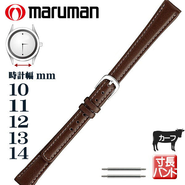 Lサイズ 寸長ベルト 時計ベルト 時計バンド 革バンド カーフ 牛 時計際幅 10mm 11mm 12mm 13mm 14mm 茶 ブラウン バネ棒2本付き ネコポス便対応品