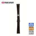時計ベルト 時計バンド 革バンド レディス リザード トカゲ 黒 ブラック 時計際幅 10mm 美錠幅 9mm 抗菌防臭加工 バネ棒2本付き ネコポス便対応品(2)
