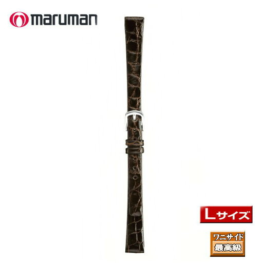 Lサイズ 寸長ベルト 時計ベルト 時計バンド 革バンド 本ワニサイド 時計際幅 12mm 美錠幅 9mm 茶 バネ棒2本付き 簡易交換工具付き ネコポス便対応品 Lサイズ 寸長ベルト 時計ベルト 時計バンド 革バンド 本ワニサイド 時計際幅 12mm 美錠幅 9mm 茶 バネ棒2本付き 簡易交換工具付き ネコポス便対応品