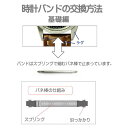 時計ベルト 時計バンド 革バンド レディス 交換用 調整 マルマン リザード トカゲ 黒 時計際幅 14mm 美錠幅 14mm バネ棒2本付き ネコポス便対応品 3