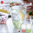 コップ ガラス おしゃれ 【 りんご タンブラー 津軽自然色りんご 津軽びいどろ 】 お茶 ジュース 日本製 アップル 焼酎グラス 手作り ハンドメイド 高級感...