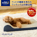 スーパーセール限定クーポン配布中!9/4 20:00〜9/11 1:59まで 【送料無料】トゥルースリーパー ペットベッド正規品 低反発 低反発素材 日本製 ペットベット 犬ベット 猫ベット ペットソファー ドッグベッド もっちり 滑り止め加工 ベビー シニア 小型犬 中型犬 猫