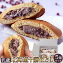 【LINE登録で300円クーポン】生どら 送料無料 どら焼き 和菓子 スイーツ ギフト プレゼント 5個 天然生活 冷凍 和菓子 どら焼き 北海道産 あんこ 餡...