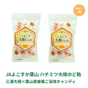 【LINE登録で300円クーポン】ハチミツ大根のど飴 送料無料 大丸本舗 健康 ギフト プレゼント JAよこすか葉山 80g 2袋 ハニー あめ キャンディ
