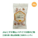 【LINE登録で300円クーポン】ハチミツ大根のど飴 送料無料 大丸本舗 健康 ギフト プレゼント JAよこすか葉山 80g 1袋 ハニー あめ キャンディ