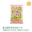 【LINE登録で300円クーポン】【常温発送】リアライズプランニング 送料無料 おっぱいチョコレート