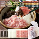 【LINE登録で300円クーポン】海鮮丼 3種の具材 5食セット 天然生活 まぐろたたき ネギトロ 冷凍 簡単調理 お取り寄せグルメ 送料無料