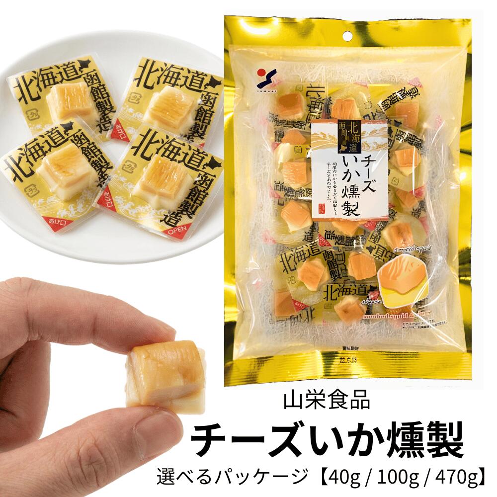 チーズいか燻製 個包装 おつまみ 選べる3サイズ 40g 100g 470g