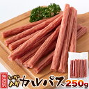 【LINE登録で300円クーポン】いか入りカルパス 送料無料 海鮮 おつまみ ギフト プレゼント 250g 天然生活 カルパス 訳あり 大容量 業務用 かるぱす まる かじり サラミ 訳アリ 無選別