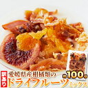 訳ありドライフルーツミックス (100g) 5種類 柑橘類 愛媛県産 おやつ おつまみ 乾燥果物 食べ比べ ギフト 簡易包装