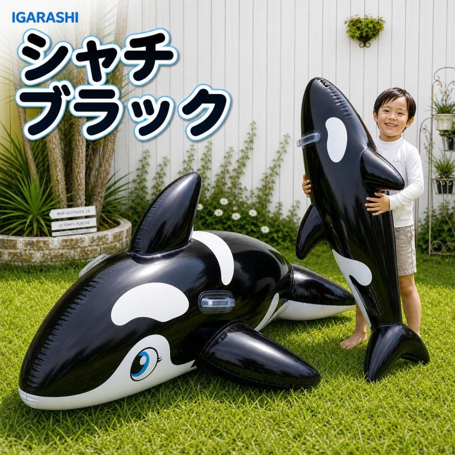 フロート 180×115cm イガラシ シャチフロート(ブラック) 日本メーカー企画 FRB-184...