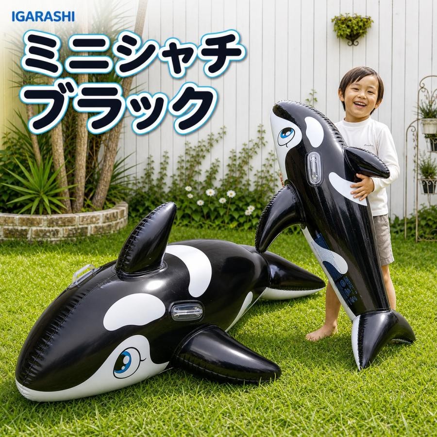 楽天市場】浮き輪 シャチ（プール・水遊び｜おもちゃ）の通販