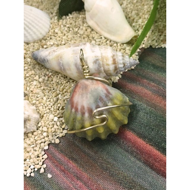 サンライズシェル ペンダントヘッド ホール有 ACC747