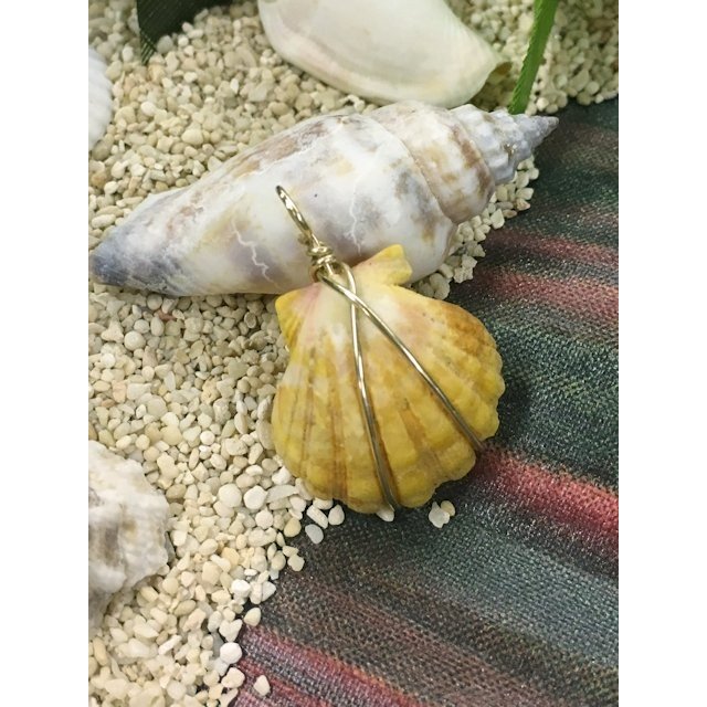 サンライズシェル ペンダントヘッド ACC749